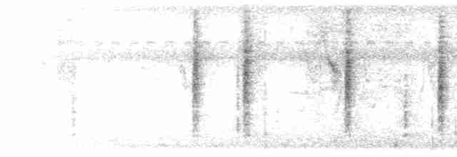Кобилочка плямиста - ML613339882