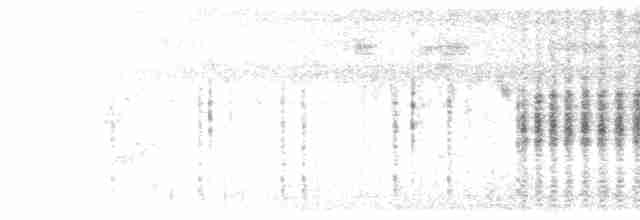 Oriental Reed Warbler - ML613340596