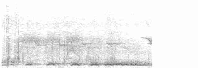 Koromandeluhu - ML613341516