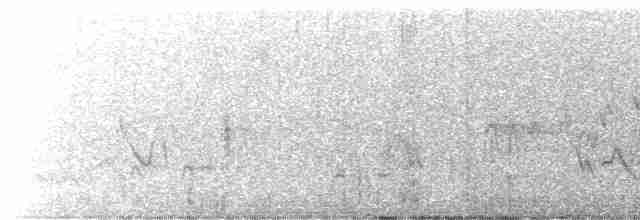 Черногорлая хвойница - ML613341812