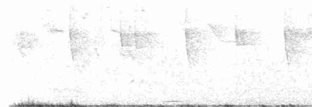 holoubek hnědoprsý - ML613342262