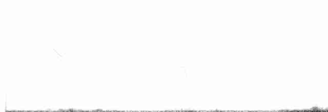 Снежный вьюрок - ML613342914