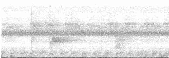 Хайнаньский павлиний фазан - ML613345085