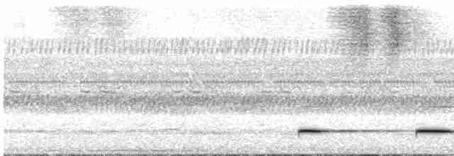 黃嘴角鴞 - ML613346071