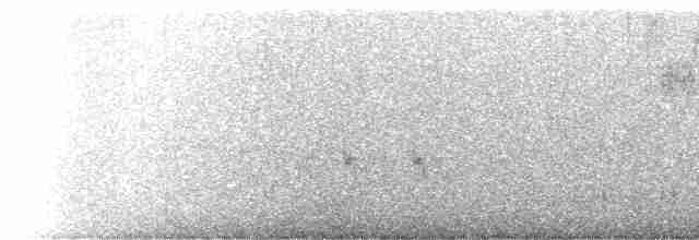 Шишкар ялиновий - ML613346325