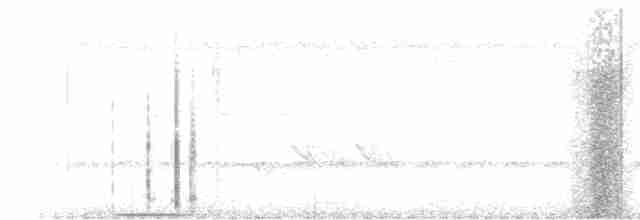 Grimpar élégant - ML613346765