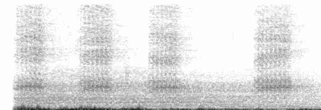 ořešník kropenatý [skupina hemispila] - ML613347151