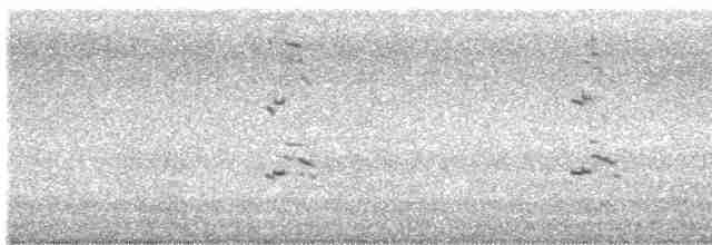 Gaviota de Bering - ML613348493