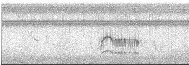 Kaya Sinekkapanı (bellicosa/pallidior) - ML613348760