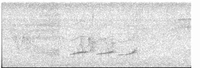 Тиран-крихітка світлогорлий - ML613349276