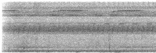 White-throated Tinamou - ML613349777