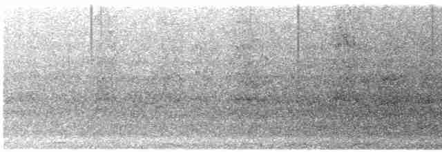 Güneyli Mor Kırlangıç - ML613350277