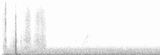 Curve-billed Thrasher - ML613355269