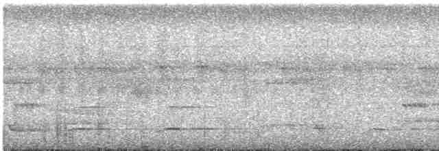 tukan rudozobý - ML613355387