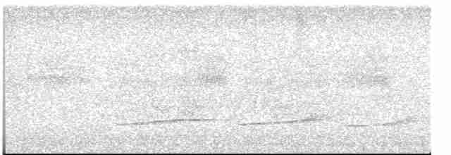 Тиран-крихітка світлогорлий - ML613356383