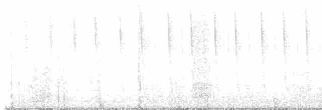 Амазилія юкатанська - ML613357052