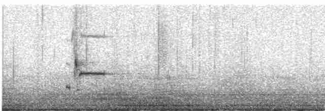 Loggerhead Shrike - ML613357784
