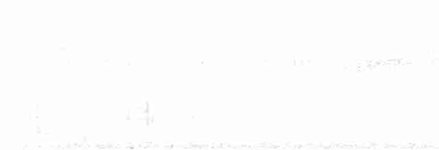 Rufous-and-white Wren - ML613358503