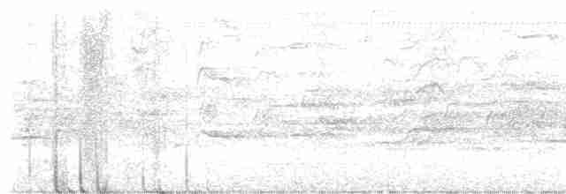 Kara Karınlı Islıkçı Ördek - ML613360562