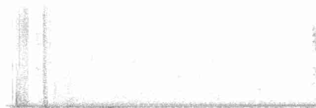 Ширококлювый миарх - ML613360730
