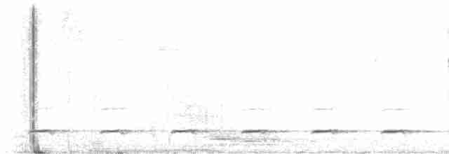 Chevêchette du Colima - ML613360767