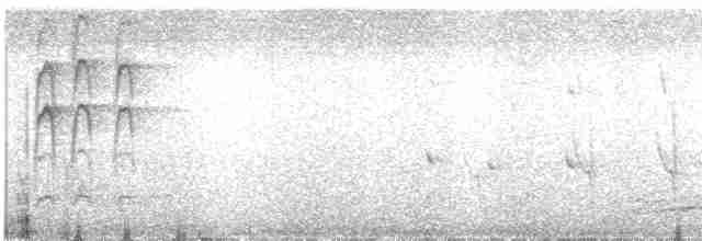 holub bronzovokřídlý - ML613361531