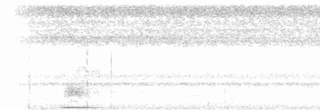 Karaca Karıncakuşu - ML613363465