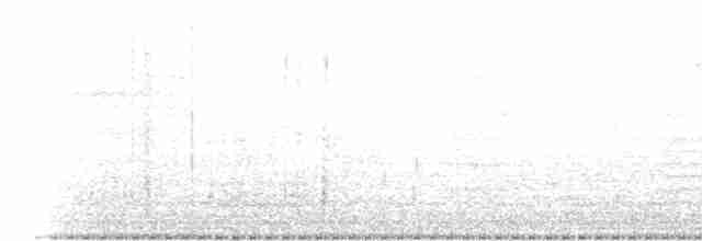 Карликовый муравьелов - ML613365299