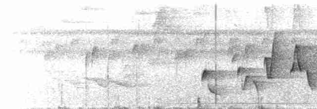 Riperyan Çıtkuşu - ML613365835
