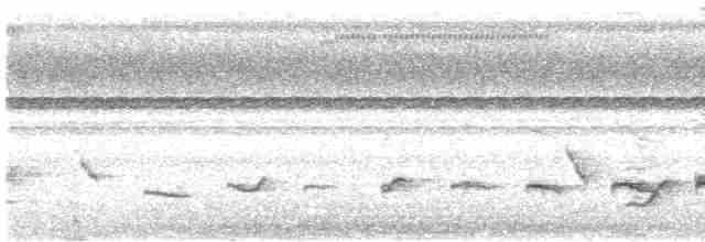 Чернобровый шелкопёр - ML613368732