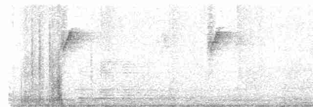Siparaya Nektarkuşu [seheriae grubu] - ML613371672