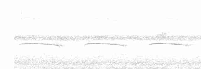 halvmånedovenfugl (minor) - ML613376941