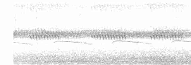 Crescent-chested Puffbird (Lesser) - ML613376998