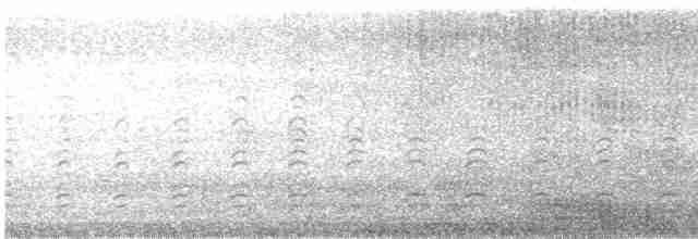 עיטם לבן-גחון - ML613377032
