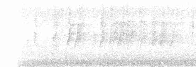 Silver-eared Mesia - ML613377271