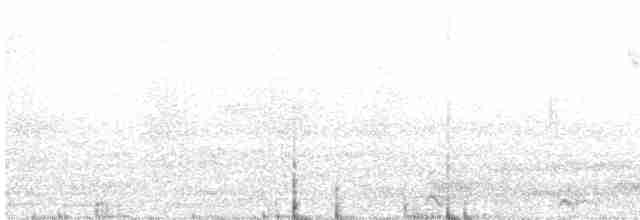 Malabar Gray Hornbill - ML613379005