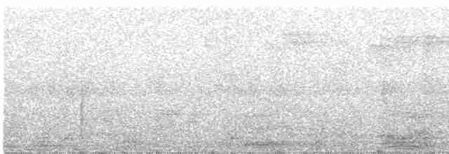 Malabar Gray Hornbill - ML613379006