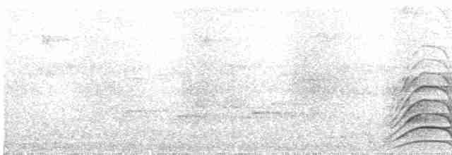 Malabar Gray Hornbill - ML613379009