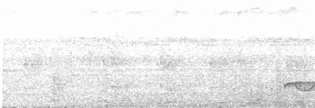 Büyük Kulaklı Çobanaldatan - ML613379761