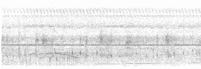Great Eared-Nightjar - ML613379764