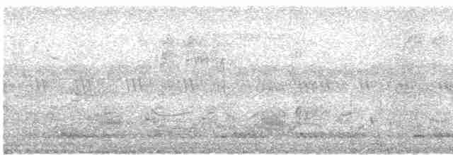 Дзьобак чорногузий - ML613380115