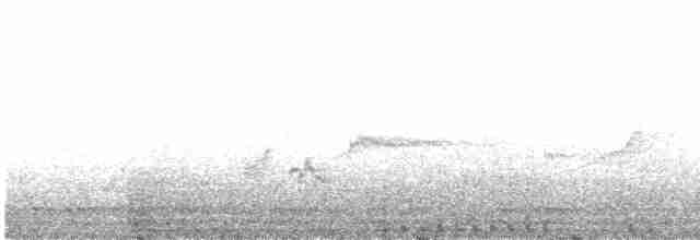 Дзьобак чорногузий - ML613380116