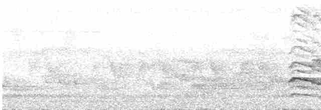 Pic à huppe jaune - ML613380128