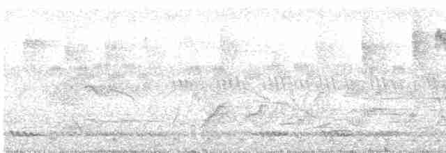 žluna indomalajská - ML613380129