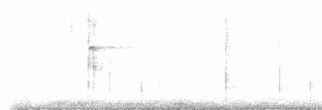Волосатый дятел - ML613381513