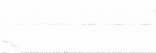 Pauraquenachtschwalbe - ML613382312