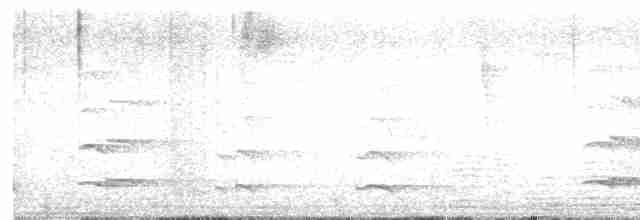 tukan žlutohrdlý - ML613382891