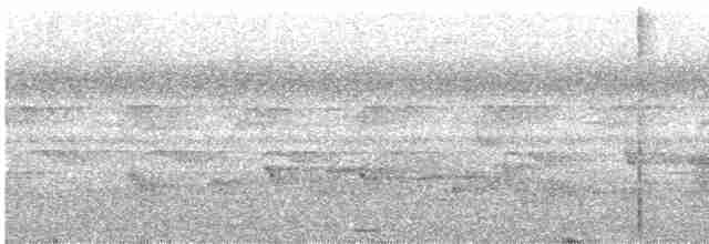 Gray-chested Babbler - ML613384891