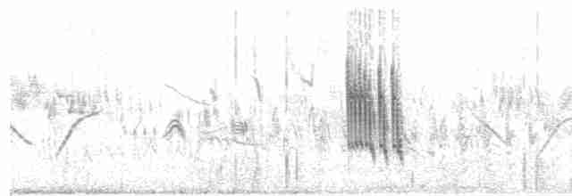 Txoriandre pispoleta turkestandarra - ML613385227