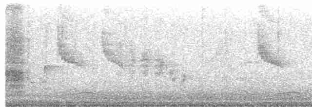 Common Tailorbird - ML613386037